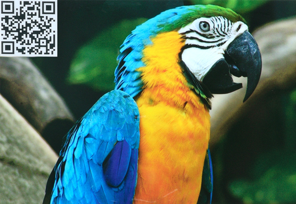 智能數(shù)碼印刷 智能數(shù)碼印刷