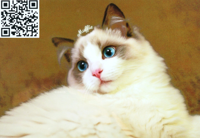 智能數(shù)碼印刷 智能數(shù)碼印刷